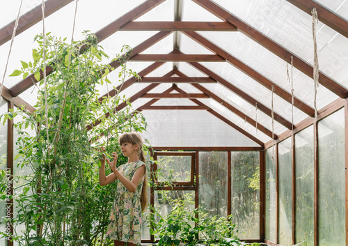 Girl Observing Tomato Plant At Greenhouse