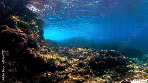 Scenic Underwater landscape