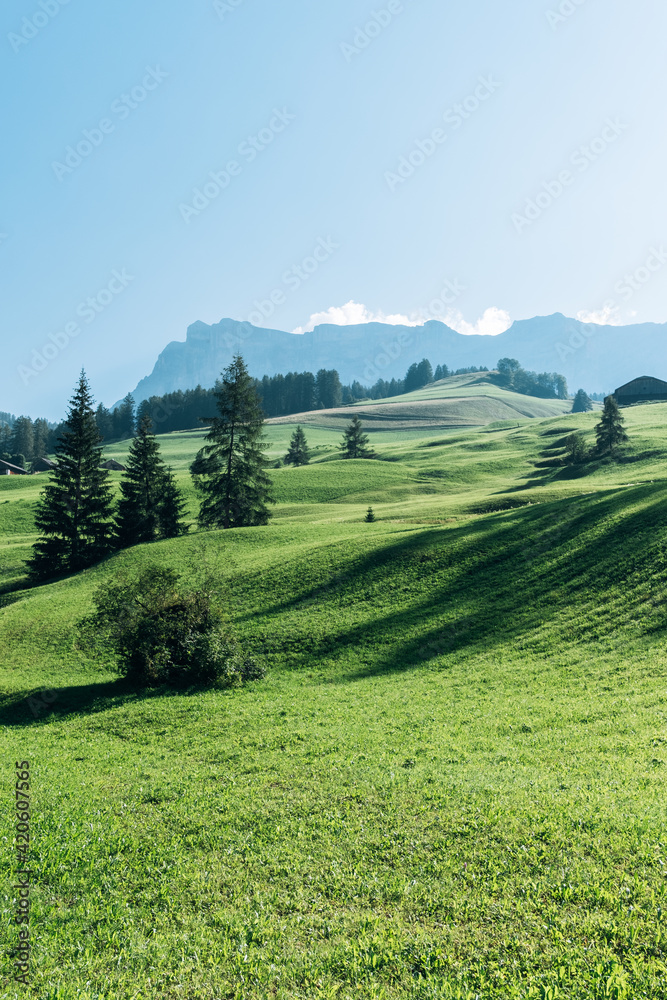 Beautiful meadow Beautiful meadow