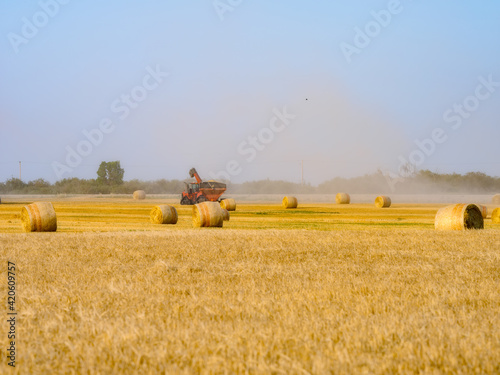 combine harvester working on wheat field photo