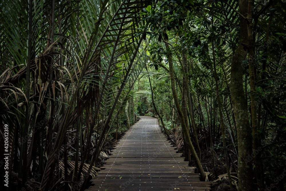 Boardwalk at Pulau Ubin, Singapore Boardwalk at Pulau Ubin, Singapore