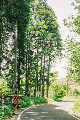 Moe in the wilderness