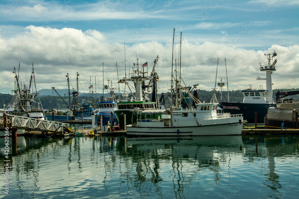 Fishing boats, docked, Newport Bay, Newport, Oregon, USA