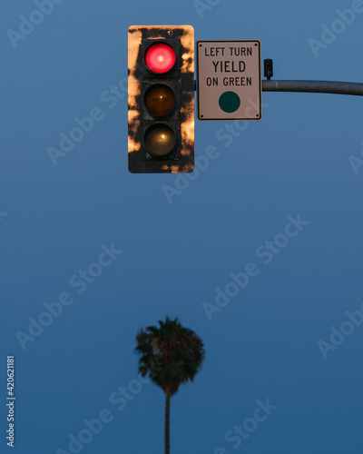 traffic red light above palm tree