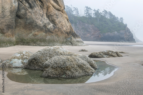 USA, Oregon. Hug Point State Park, foggy beach. photo