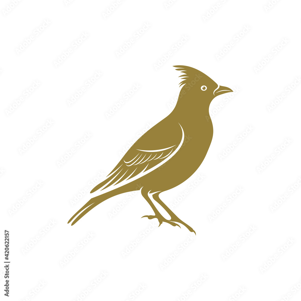 Fototapeta premium Lark bird design vector illustration, Creative Lark bird logo design concepts template, icon symbol