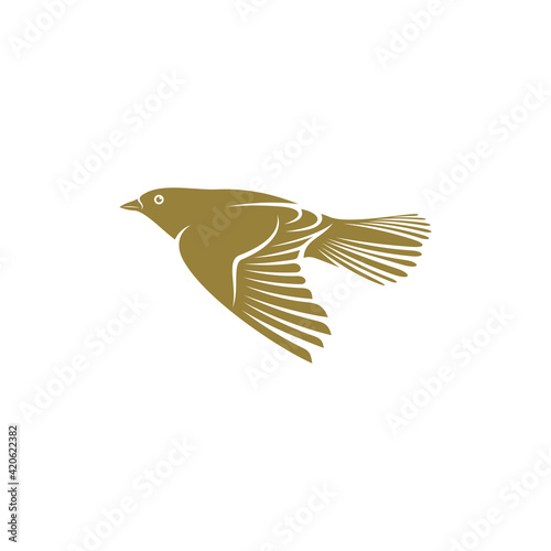Lark bird design vector illustration, Creative Lark bird logo design concepts template, icon symbol