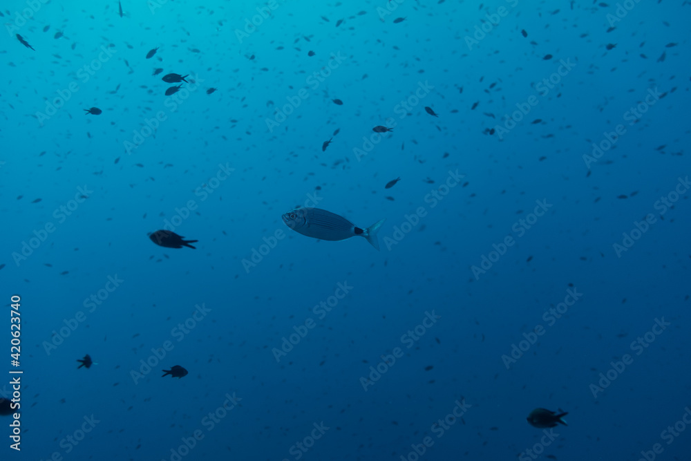 Water surface Water surface