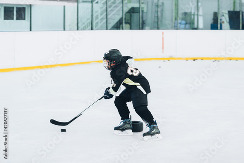 Ice Skating photo