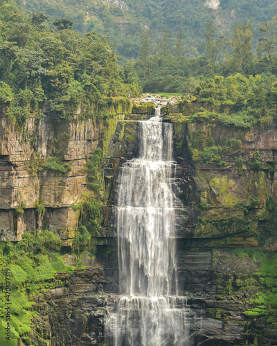 waterfall in the forest