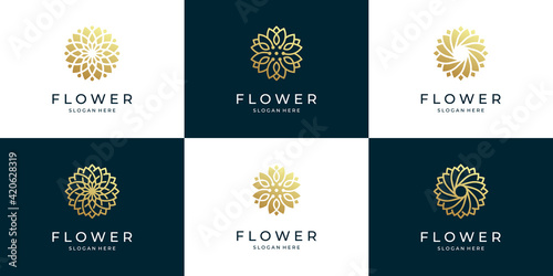 Set of abstract luxury flower logo design