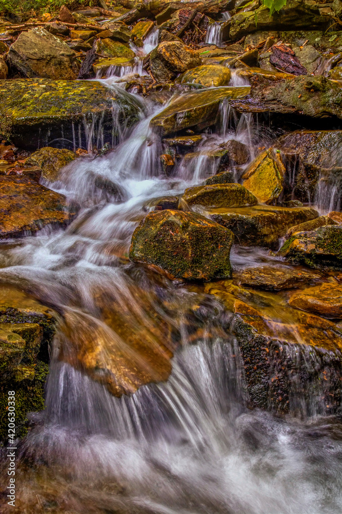 Fototapeta premium USA, Pennsylvania, Benton, Ricketts Glen State Park. Kitchen Creek cascade.