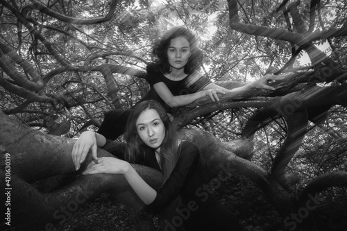 Two girls in the branches.