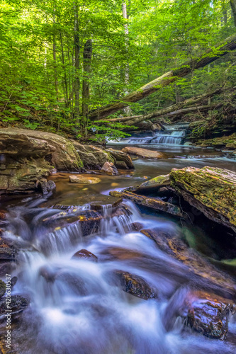USA, Pennsylvania, Benton, Ricketts Glen State Park. Kitchen Creek cascade.