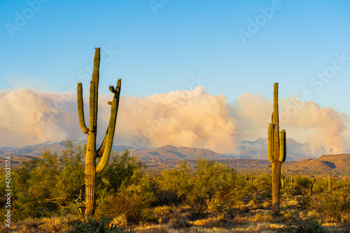 Smoke Plume from a Wildfire in Arizona