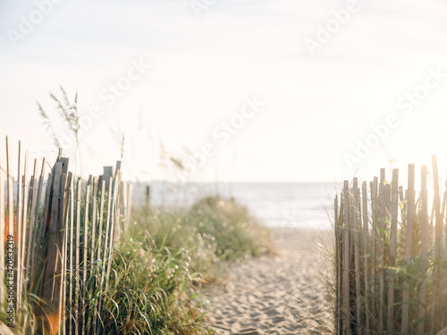 Path to the beach