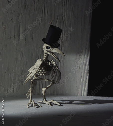 Scary Skeleton Crow Bird with Hat photo