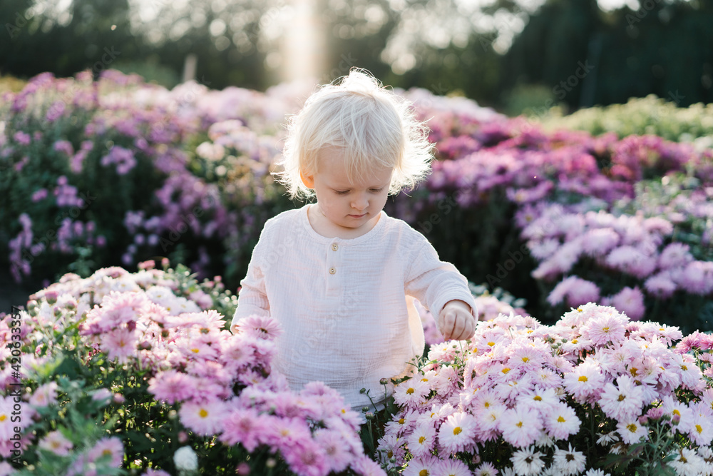 A little girl stands among the flowers in the garden A little girl stands among the flowers in the garden