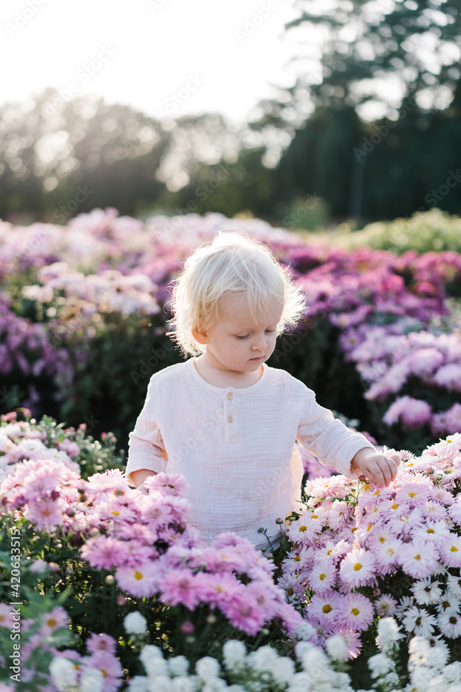 A little girl stands among the flowers in the garden A little girl stands among the flowers in the garden