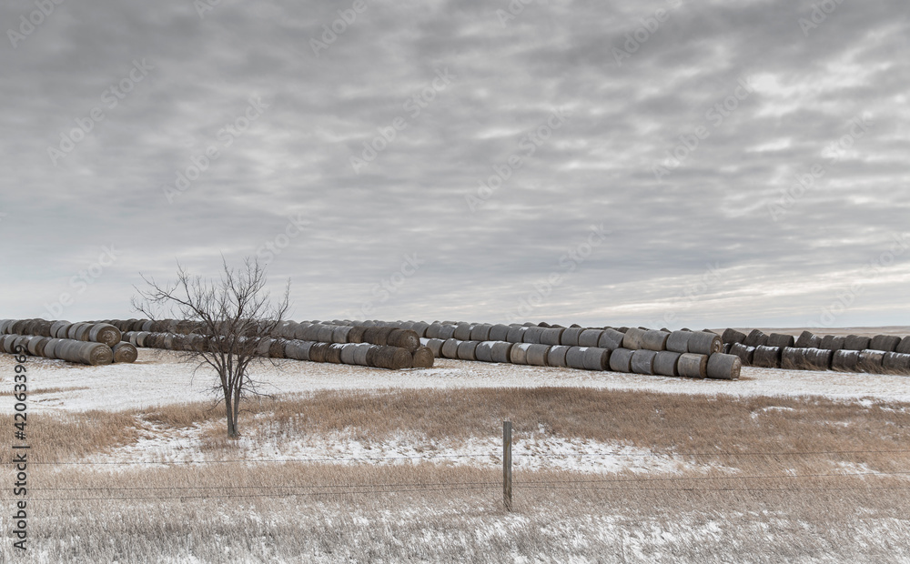 Hay Bale Landscape at Farm in South Dakota Hay Bale Landscape at Farm in South Dakota