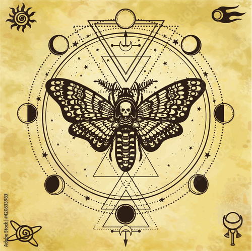 Mystical drawing: Moth Dead Head, circle of a phase of the moon. Sacred geometry.  Alchemy, magic, esoteric, occultism. Background - imitation of old paper. Vector Illustration.