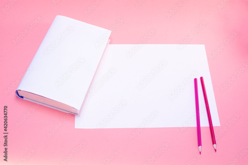 In the center of the composition is a white sheet. around the edges of the pencil Abstract minimalistic composition for florist design In the center of the composition is a white sheet. around the edges of the pencil Abstract minimalistic composition for florist design