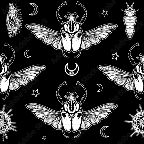 Seamless monochrome pattern: bug Goliath, radiolaria, symbols of the moon. White drawing on a black background. Vector illustration.