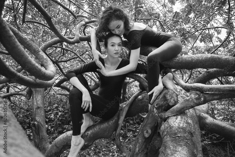 Two girls in the branches. Two girls in the branches.