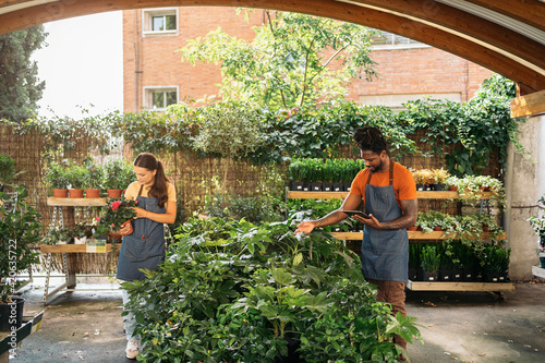 Coworkers working in plant nursery photo