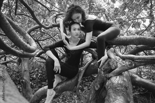 Two girls in the branches.