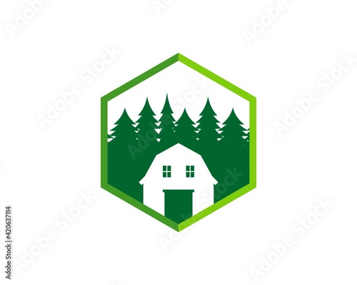 Hexagonal shape with pine forest and barn inside