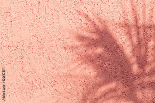 Shadow of a Palm Tree Against Pink Stucco Wall