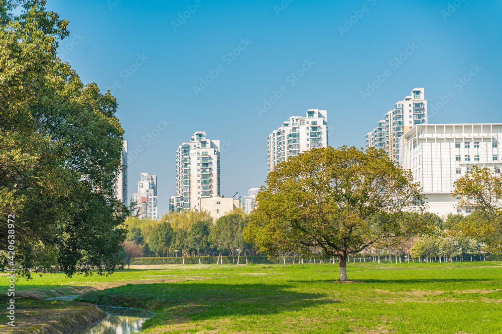 City park in Suzhou, with green lawn and residential buildings.