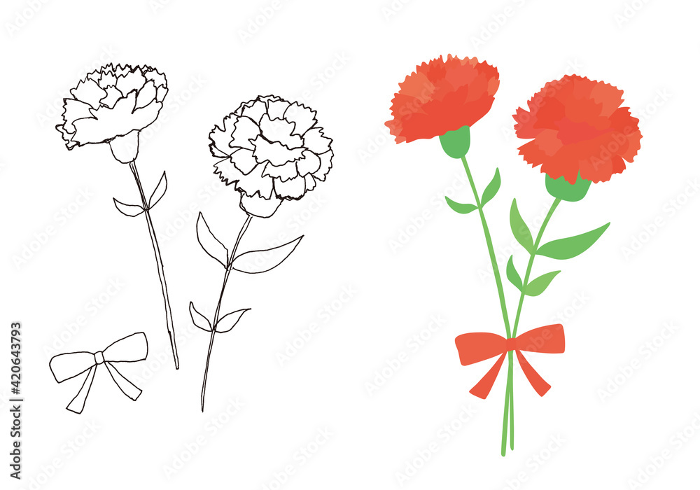 カーネーションのイラスト Stock Vector Adobe Stock