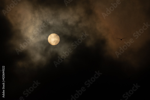Dark Sky