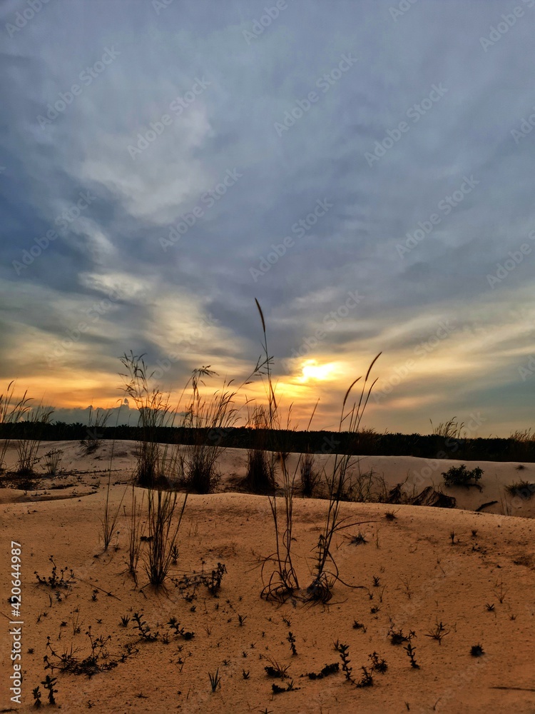 sunset from the sand sunset from the sand