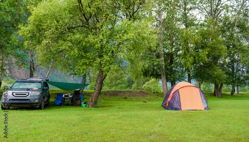 camping in the forest parkland