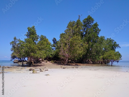 a small island on bonebula beach, towale village, donggala district, central sulawesi province, indonesia