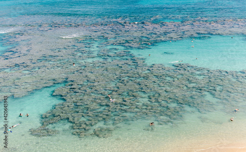 Aerial view of coral riff in Hanauma Bay in Oahu Island in Hawaii