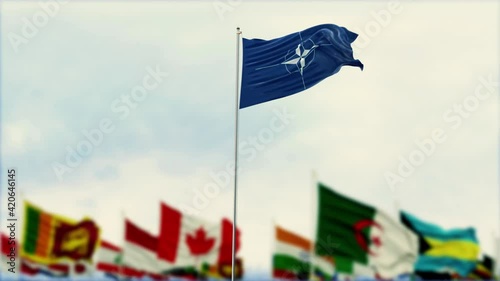 NATO Flag With Flags Of The World And Fireworks Moring And Night 3D Rendering 