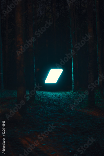 Mysterious light illuminating the forest photo