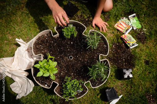 Top down view of kid planting herbs in a planter