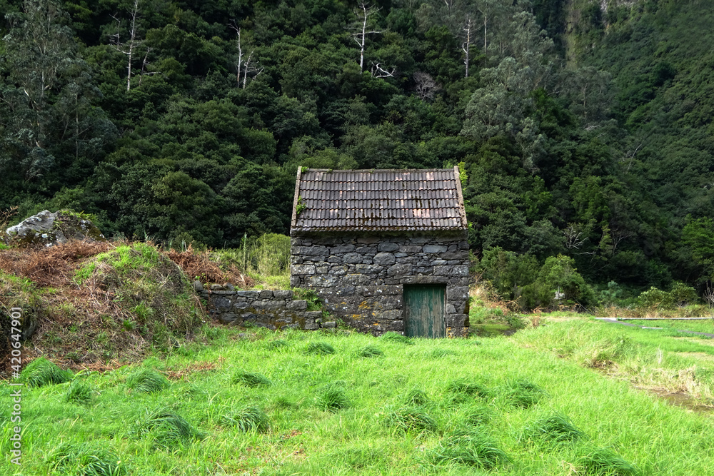 Farmer's Cabin, Madeira