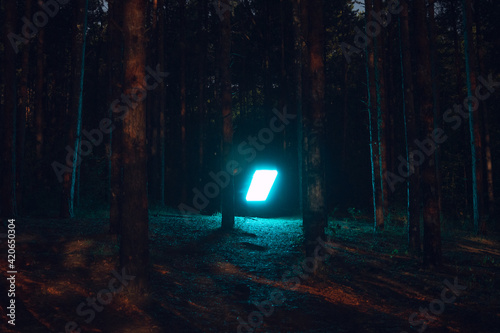 Mysterious light illuminating the forest