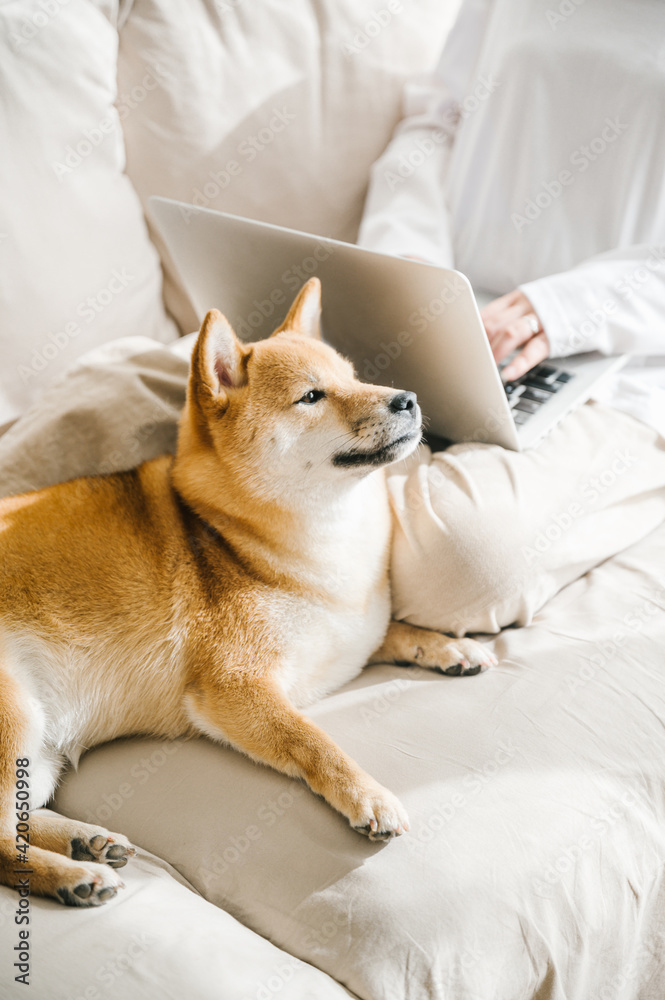 Working at home with pet dog Working at home with pet dog