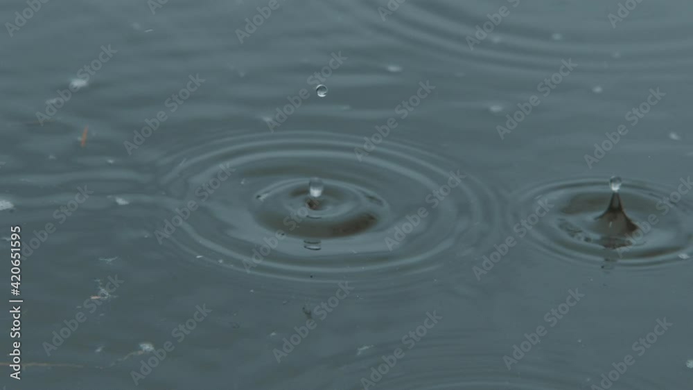 Lake surface in the rain with some leaves and debris on the surface. close up detail in slow motion. 4K 120fps. Lake surface in the rain with some leaves and debris on the surface. close up detail in slow motion. 4K 120fps.