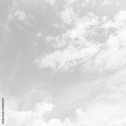 White cloudy sky for background.