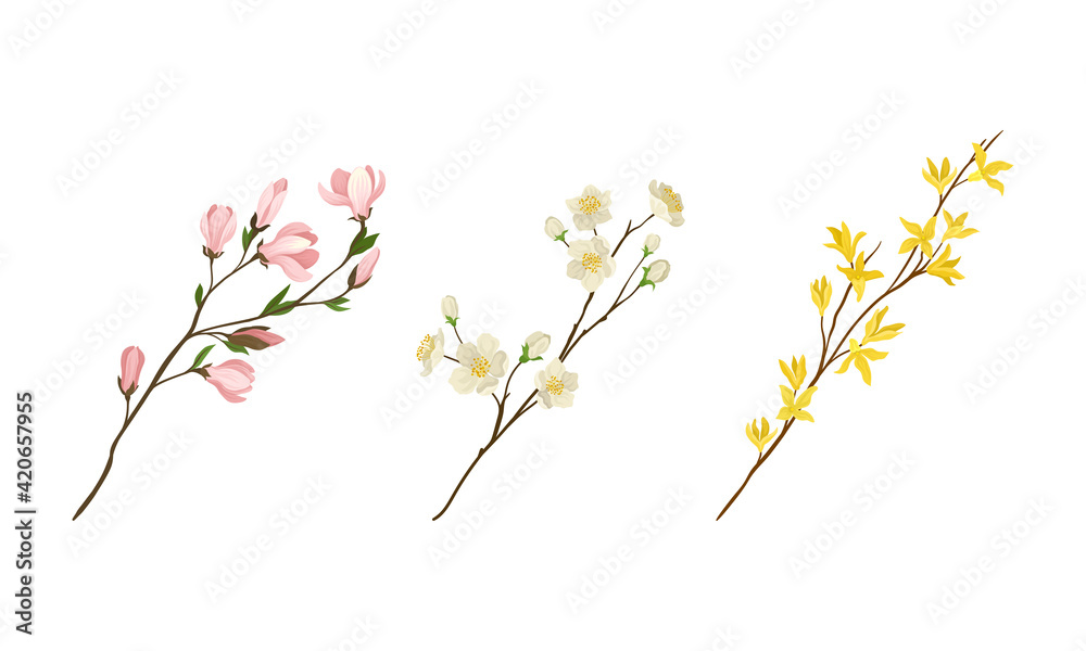 Floral Twigs and Branches with Tender Flower Buds and New Leaves Vector Set