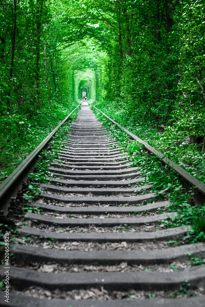 a railway in the spring forest. Tunnel of Love, green trees and the railroad