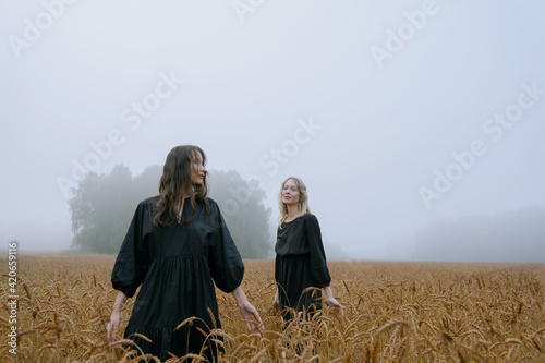 two beautiful girls in black dresses posing in a wheat field